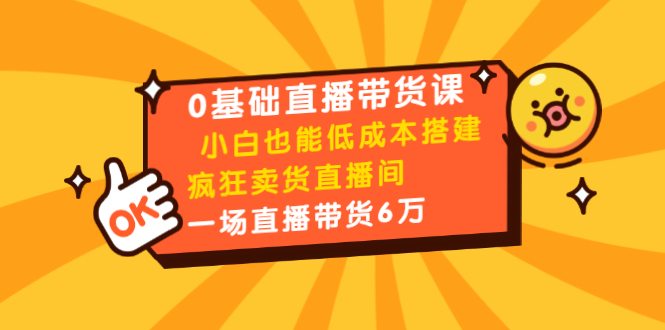 0基础直播带货课:小白也能低成本搭建疯狂卖货直播间:1场直播带货6万-老胡轻创社
