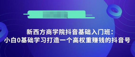 抖音基础入门班:小白0基础学习打造一个高权重赚钱的抖音号-老胡轻创社