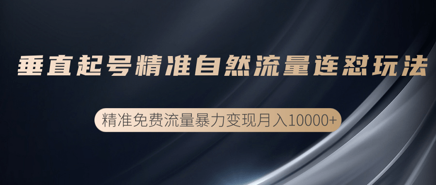 垂直起号精准自然流量连爆玩法,精准引流暴力变现月入10000+-老胡轻创社