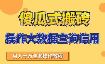 搬砖操作大数据查询信用项目赚钱教程，祝你快速月入6万-老胡轻创社