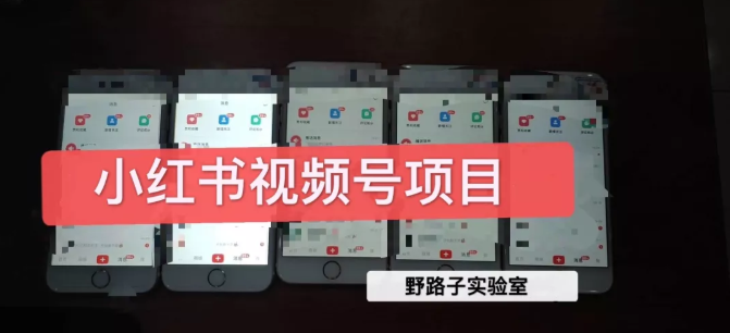 野路子小红书视频号1.0项目,直接上手操作就能赚钱的视频号项目-老胡轻创社