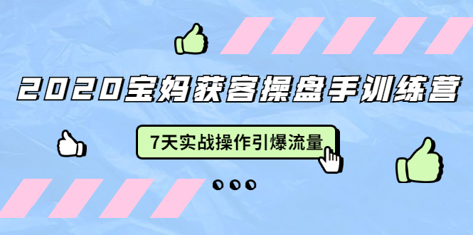 2020宝妈获客操盘手训练营:7天实战操作引爆 母婴、都市、购物宝妈流量-老胡轻创社