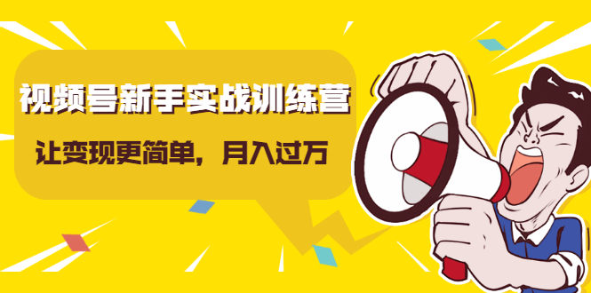 视频号新手实战训练营,让变现更简单,玩赚视频号,轻松月入过万-老胡轻创社