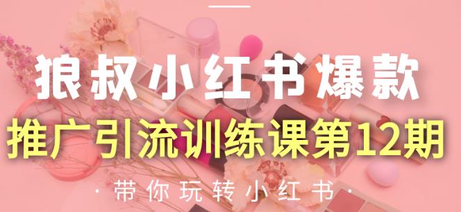 狼叔小红书爆款推广引流训练课第12期,手把手带你玩转小红书-老胡轻创社