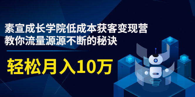 素宣成长学院低成本获客变现营,教你流量源源不断的秘诀,轻松月入10万-老胡轻创社