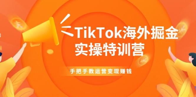 TikTok海外掘金实操特训营：手把手教运营变现赚钱-老胡轻创社