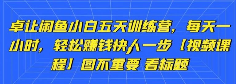 卓让闲鱼小白五天训练营,每天一小时,轻松赚钱快人一步-老胡轻创社