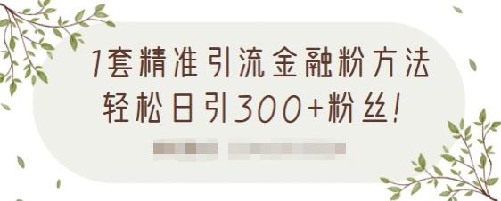 1套精准引流金融粉方法,轻松日引300+粉丝-老胡轻创社