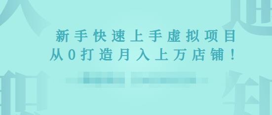 2022年虚拟项目实战指南,新手从0打造月入上万店铺-老胡轻创社