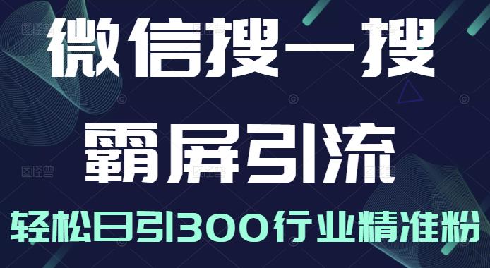 微信搜一搜霸屏引流课，打造被动精准引流系统，轻松日引300行业精准粉-老胡轻创社