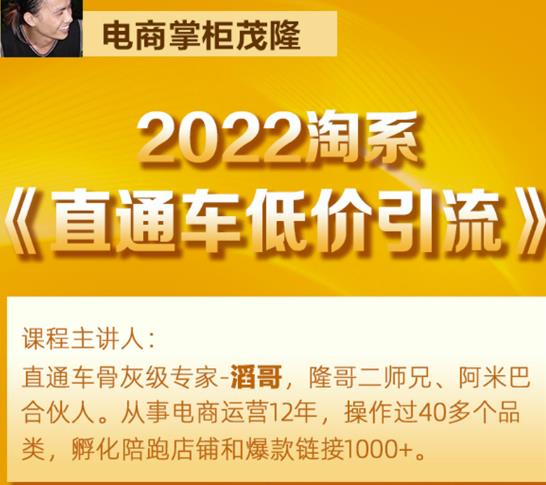 茂隆2022直通车低价引流玩法,教大家如何低投入高回报的直通车玩法-老胡轻创社