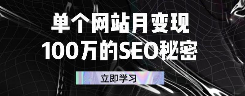 单个网站月变现100万的SEO秘密,百分百做出赚钱站点-老胡轻创社