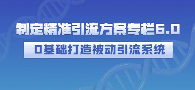 制定精准引流方案专栏6.0,0基础打造被动引流系统-老胡轻创社