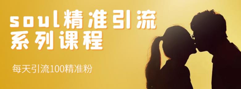 soul精准引流系列课程,每天引流100精准粉-老胡轻创社