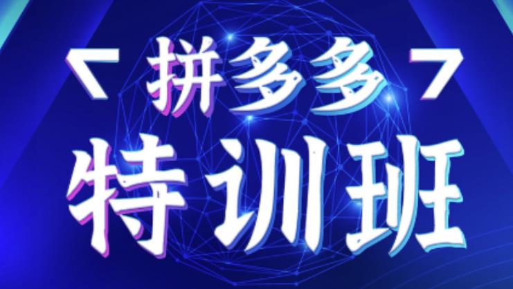 星雪教育·拼多多基础班+进阶班+突破班,用系统的学习模式快速改变现状价值3580元-老胡轻创社