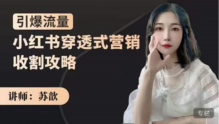 苏歆:小红书穿透式营销收割攻略,引爆流量,助你玩转小红书-老胡轻创社
