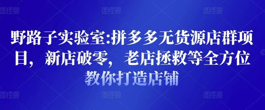 野路子实验室:拼多多无货源店群项目,新店破零,老店拯救等全方位教你打造店铺-老胡轻创社