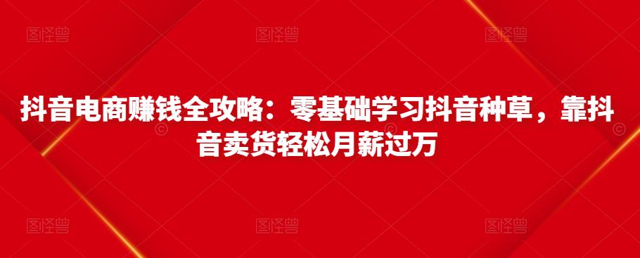 抖音电商赚钱全攻略:零基础学习抖音种草,靠抖音卖货轻松月薪过万-老胡轻创社