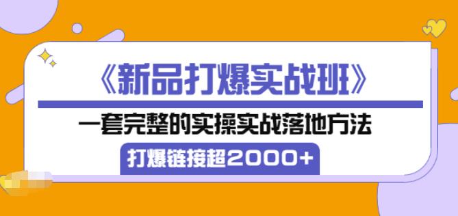 凌童《新品打爆实战班》,一套完整的实操实战落地方法,打爆链接超2000+(28节课)-老胡轻创社