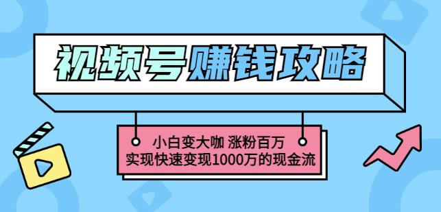 玩转微信视频号赚钱:小白变大咖涨粉百万实现快速变现1000万的现金流-老胡轻创社