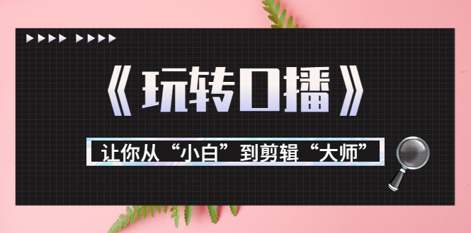 月营业额700万+大佬教您《玩转口播》让你从“小白”到剪辑“大师”-老胡轻创社