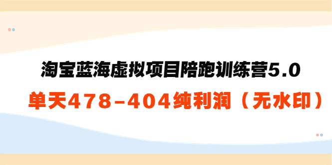 淘宝蓝海虚拟项目陪跑训练营5.0:单天478纯利润-老胡轻创社