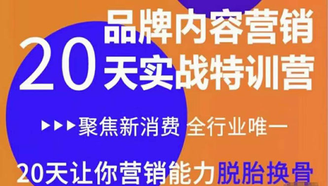 《内容营销实操特训营》20天让你营销能力脱胎换骨(价值3999)-老胡轻创社