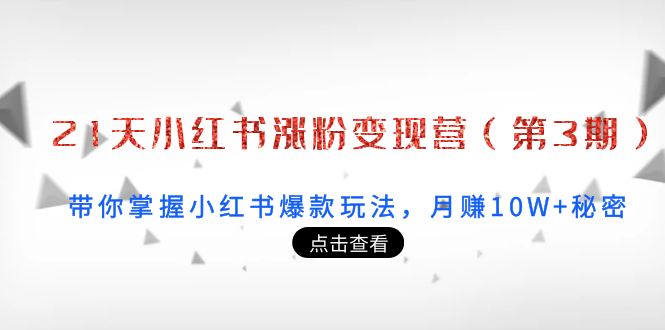 21天小红书涨粉变现营(第3期):带你掌握小红书爆款玩法,月赚10W+秘密-老胡轻创社