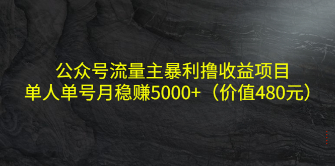 公众号流量主暴利撸收益项目,单人单号月稳赚5000+(价值480元)-老胡轻创社
