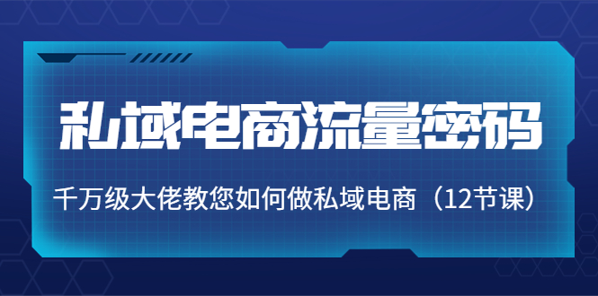 私域电商流量密码:千万级大佬教您如何做私域电商(12节课)-老胡轻创社