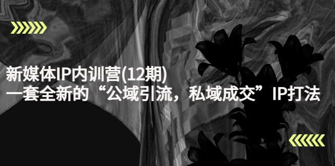 新媒体IP内训营(12期),一套全新的“公域引流,私域成交”IP打法,直接带走-老胡轻创社