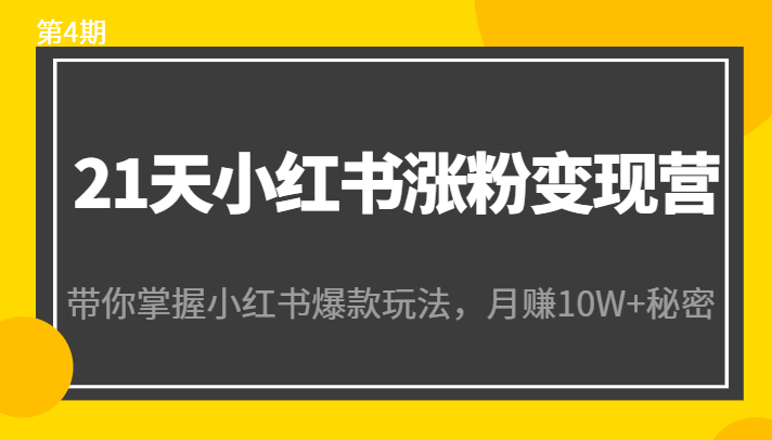 21天小红书涨粉变现营(第4期):带你掌握小红书爆款玩法,月赚10W+秘密-老胡轻创社