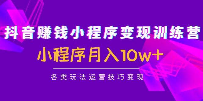 抖音赚钱小程序变现训练营:小程序月入10w+各类玩法运营技巧变现-老胡轻创社
