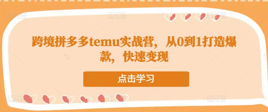 跨境拼多多temu实战营,从0到1打造爆款,快速变现-老胡轻创社