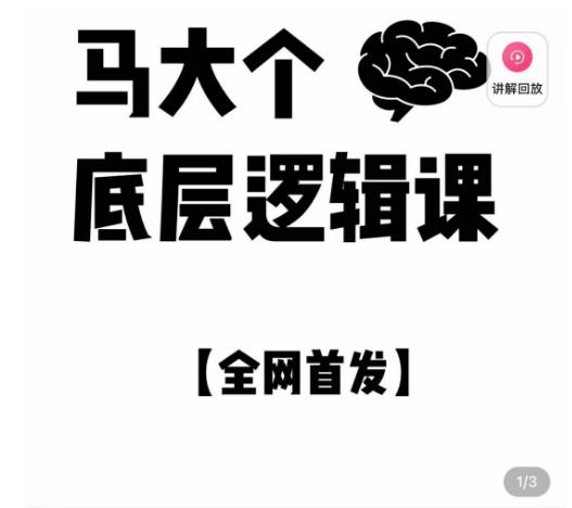 马大个·底层逻辑课,51节底层逻辑智慧课-价值1980元-老胡轻创社