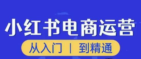 顽石小红书电商高阶运营课程,从入门到精通,玩法流程持续更新-老胡轻创社