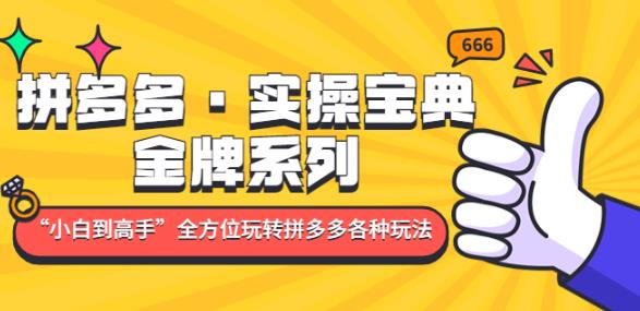 拼多多·实操宝典:金牌系列“小白到高手”带你全方位玩转拼多多各种玩法-老胡轻创社