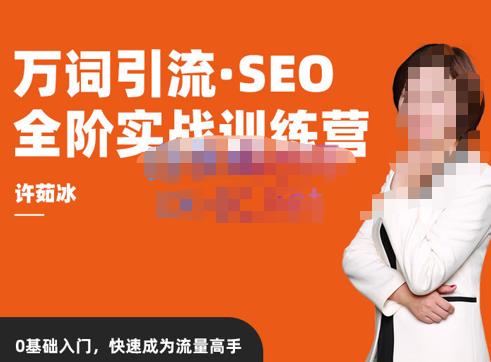 许茹冰·万词引流-SEO全阶实战训练营,0基础入门,快速成为流量高手-老胡轻创社
