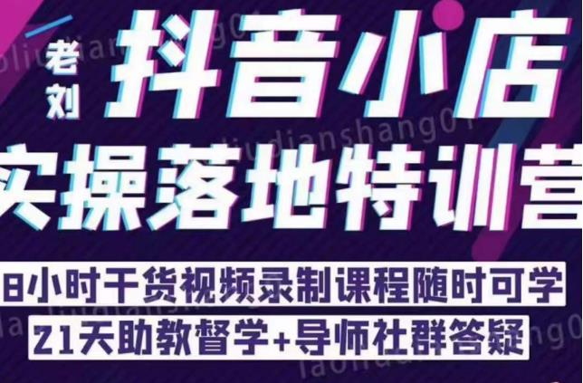 抖音小店实操落地特训营：抖音小店无货源精细化运营，抖店商品卡流量（22节）-老胡轻创社