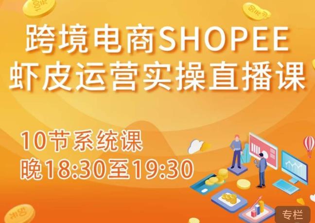 跨境电商Shopee虾皮运营实操直播课,从零开始学,入门到精通(10节系统课)-老胡轻创社