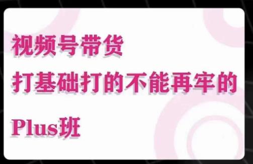 大播汇·视频号带货Puls班,视频号底层逻辑,起号自然流鱼塘等玩法-老胡轻创社