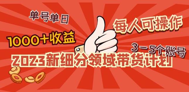 2023新细分领域带货计划:单号单日1000+收益不难,每人可操作3-5个账号-老胡轻创社
