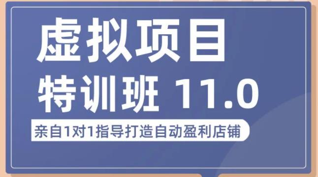 陆明明·虚拟项目特训班(10.0+11.0),0成本获取虚拟素材,0基础打造自动盈利店铺-老胡轻创社