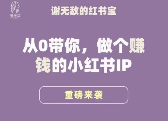 谢无敌·小红书运营大宝典,从0带你做个赚钱的小红书IP-老胡轻创社