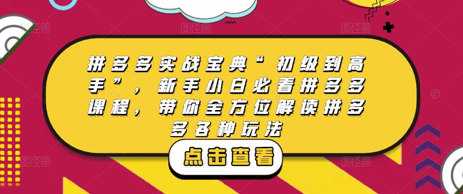 拼多多实战宝典“初级到高手”,新手小白必看拼多多课程,带你全方位解读拼多多各种玩法-老胡轻创社