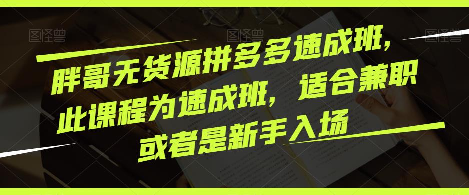 胖哥无货源拼多多速成班,此课程为速成班,适合兼职或者是新手入场-老胡轻创社