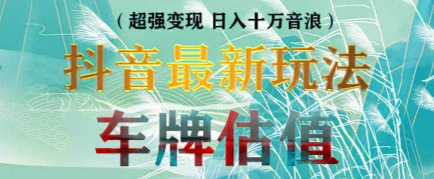 抖音最新无人直播变现直播车牌估值玩法项目，轻松日赚几百+【详细玩法教程】-老胡轻创社