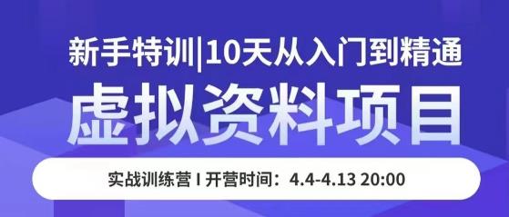 虚拟资料项目新手特训,10天从入门到精通,保姆级实操教学-老胡轻创社
