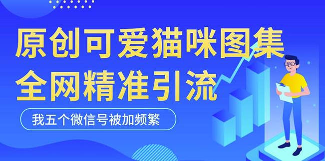黑科技纯原创可爱猫咪图片,全网精准引流,实操5个VX号被加频繁-老胡轻创社