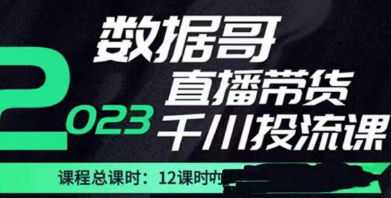 数据哥2023直播电商巨量千川付费投流实操课，快速掌握直播带货运营投放策略-老胡轻创社